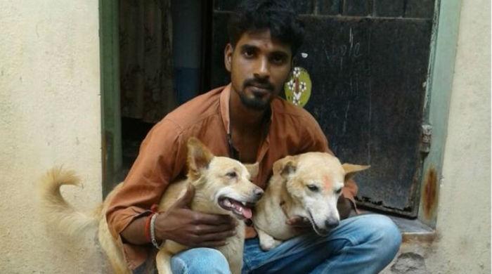 raman_with_strays