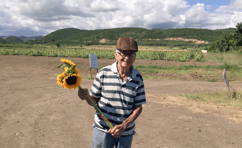 jimm-secret-kittens-2