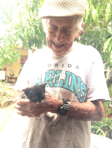 jimm-secret-kittens-1