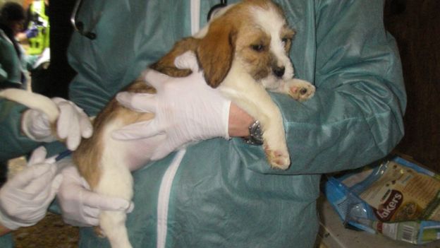 jailed-uk-breeder-04-2