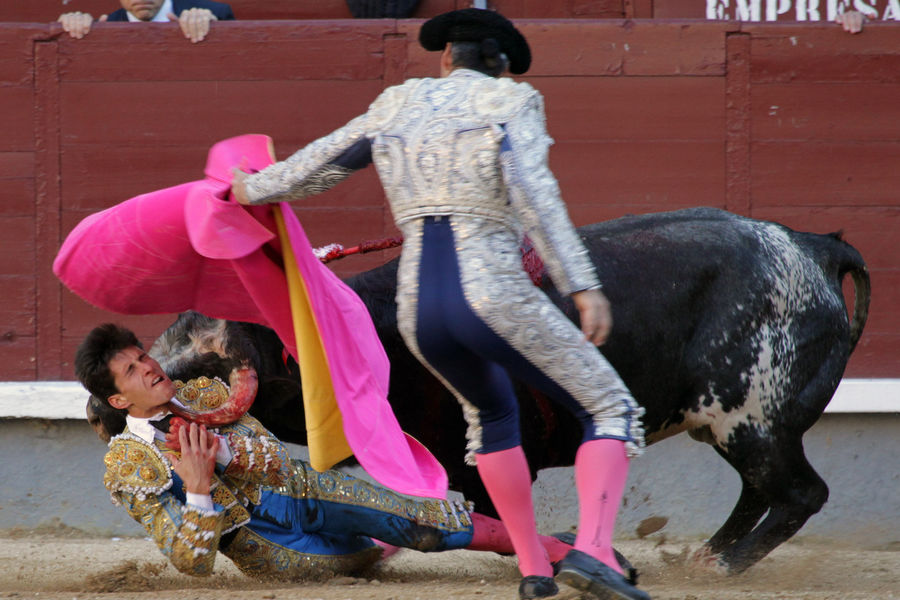 Daniel-Garcia-navarrete-corrida-madrid-9
