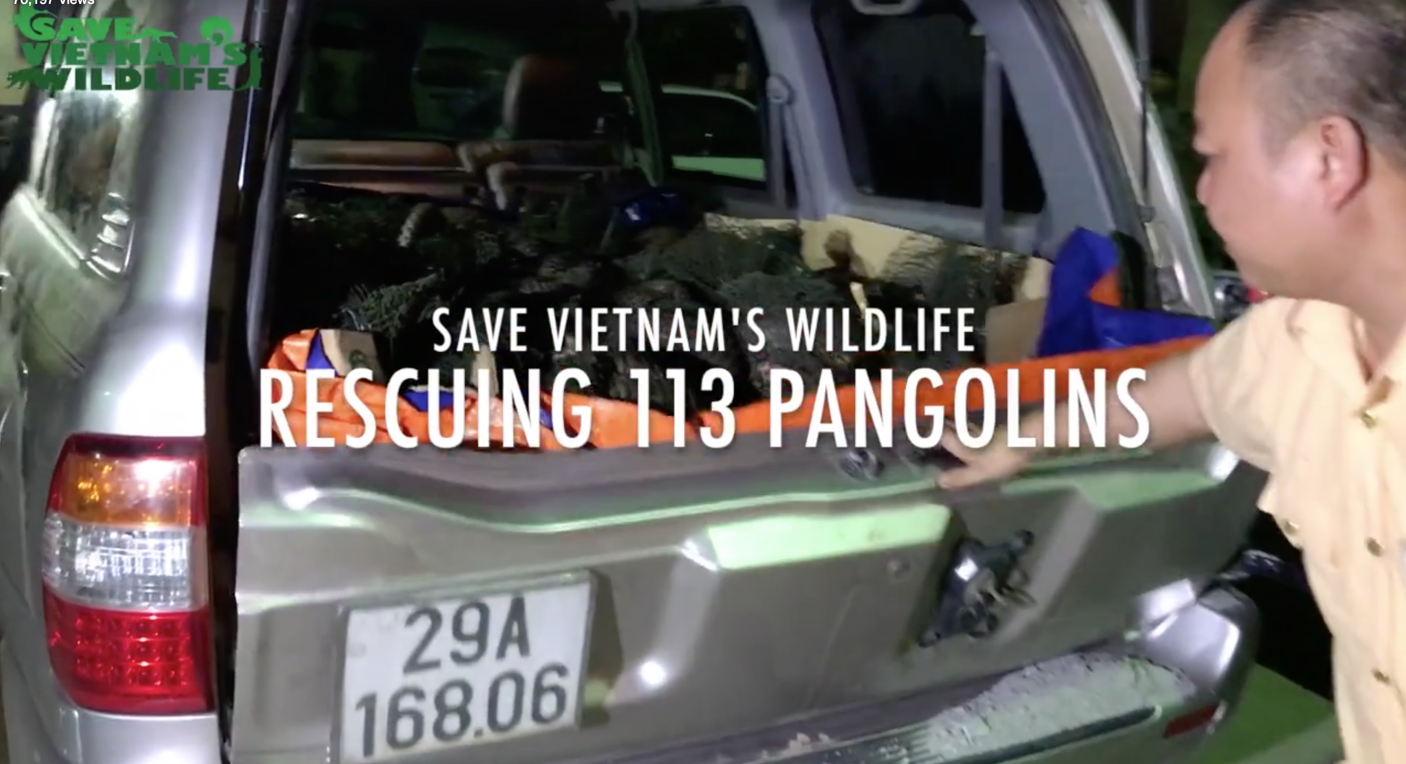 pangolins-voiture-saisi-vietnam-avril-1