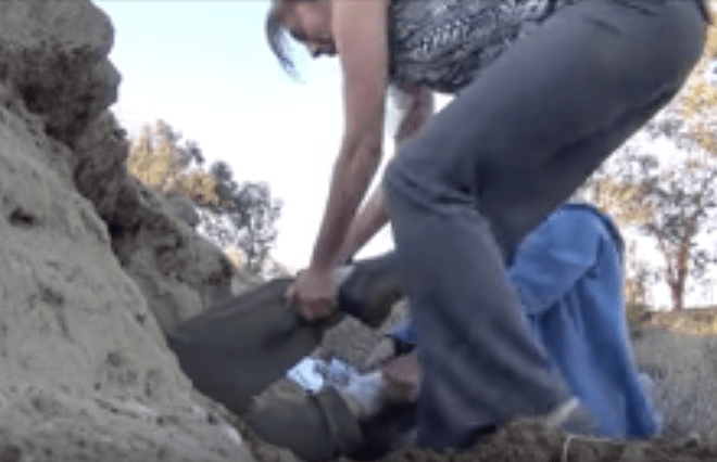 hfp_9_puppies_cave_5