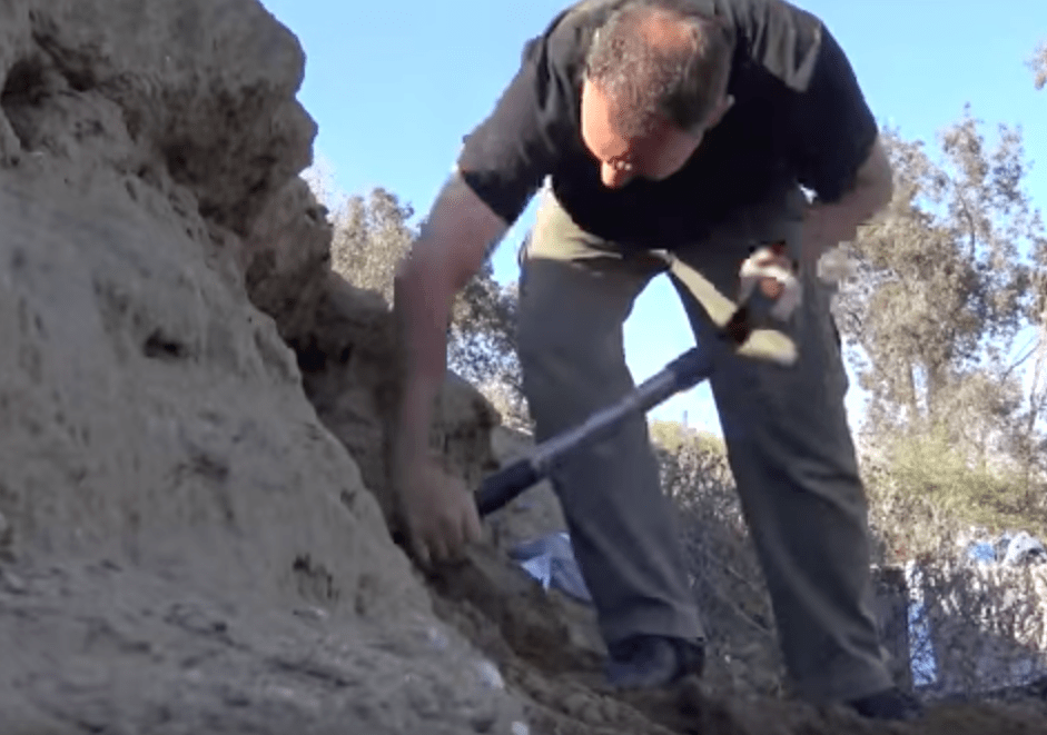 hfp_9_puppies_cave_4