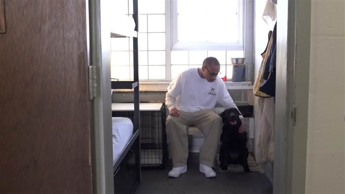 inmates_service_dogs_veterans_4