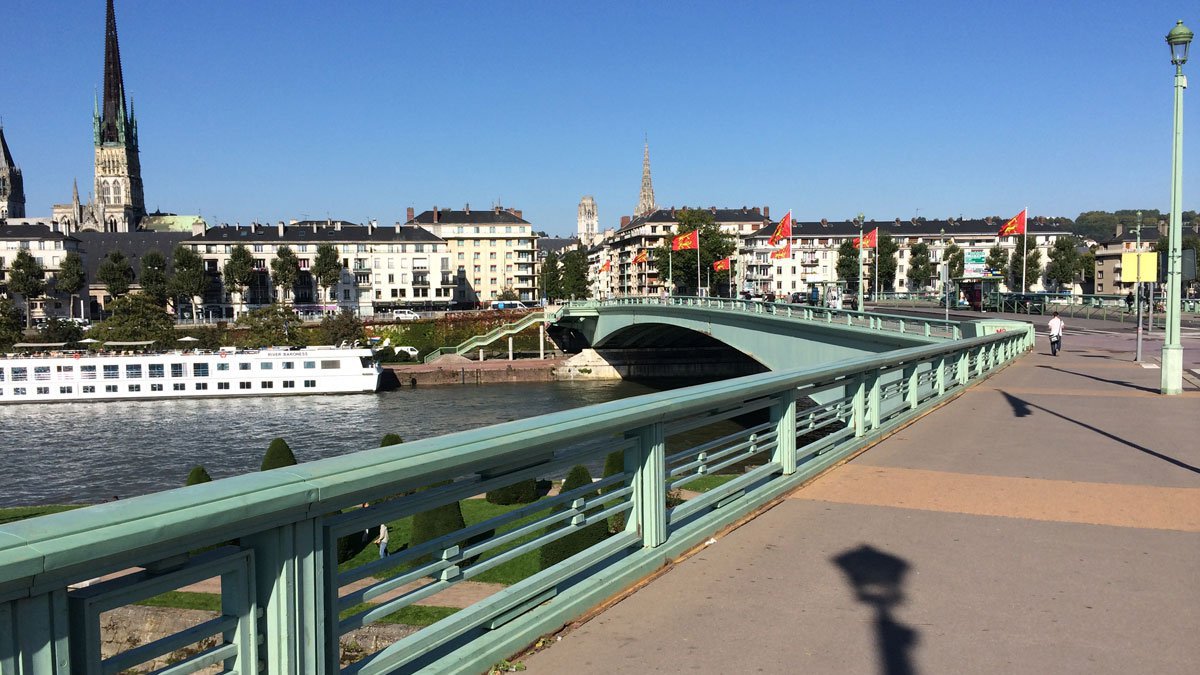 chien-rouen-pont-corneille-sdf-2