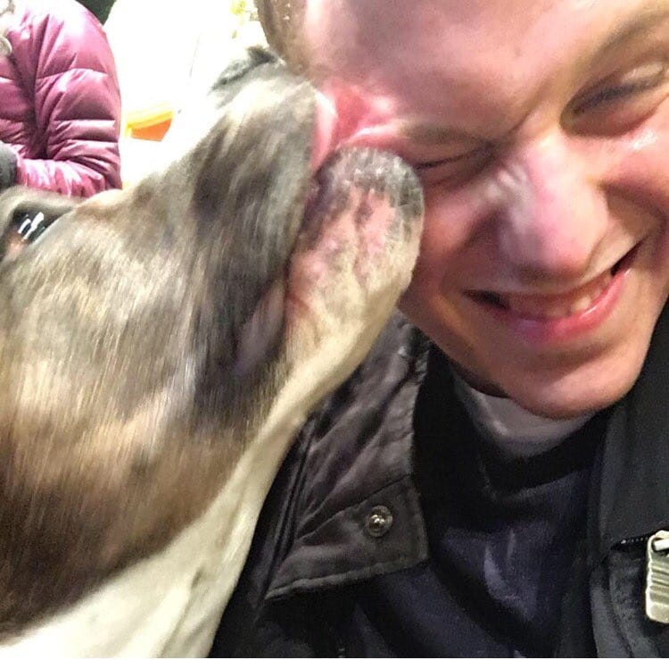 pitbull_attacks_funny_9