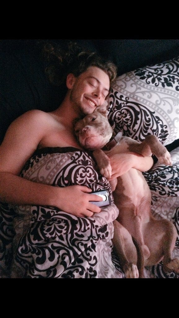 pitbull_attacks_funny_16