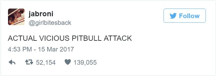 pitbull_attacks_funny_20