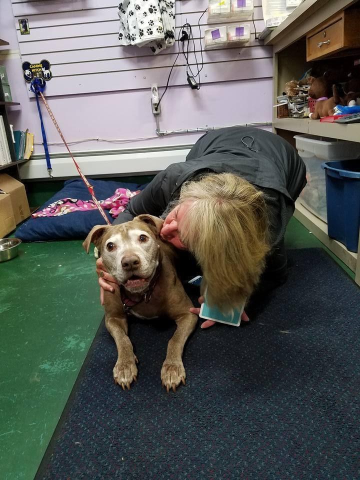 kevin-chien-mourant-borne-incendie-3