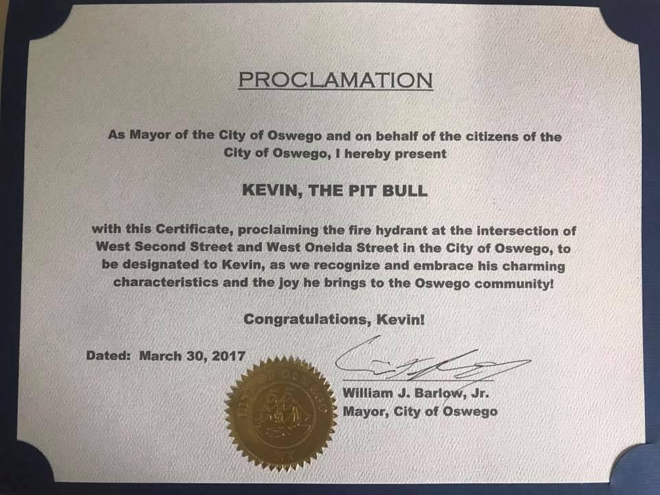 kevin-chien-mourant-borne-incendie-5