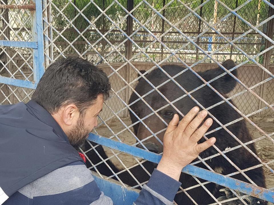 alaa-aleppo-zoo-1