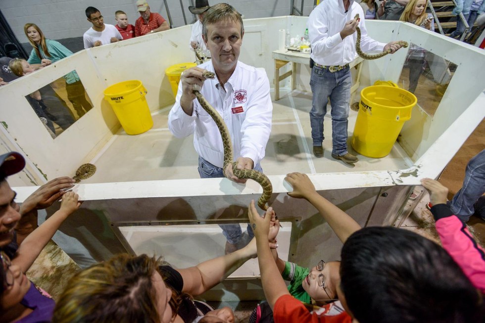 serpents-massacre-texas-4