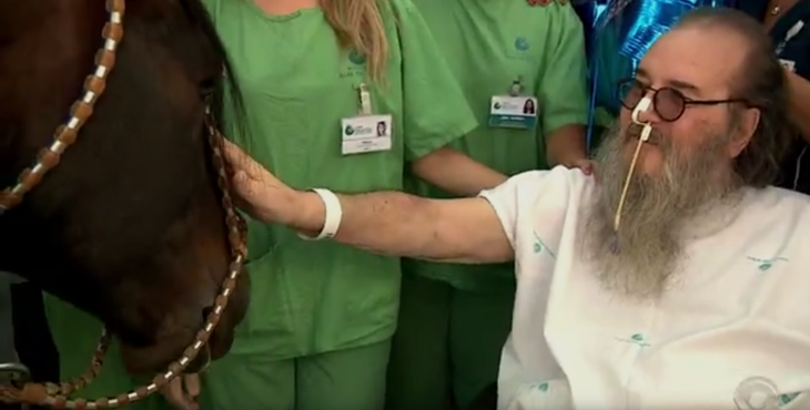 homme-malade-visite-cheval-hopital