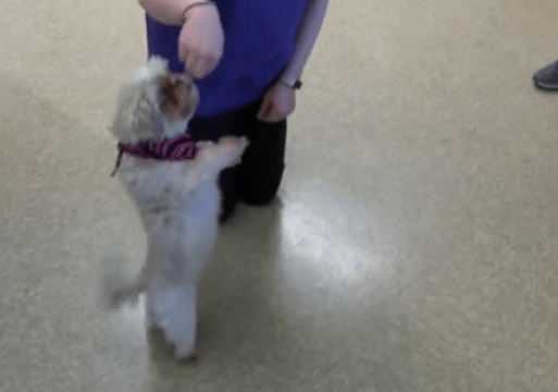 tunzy-officer-rescue-3