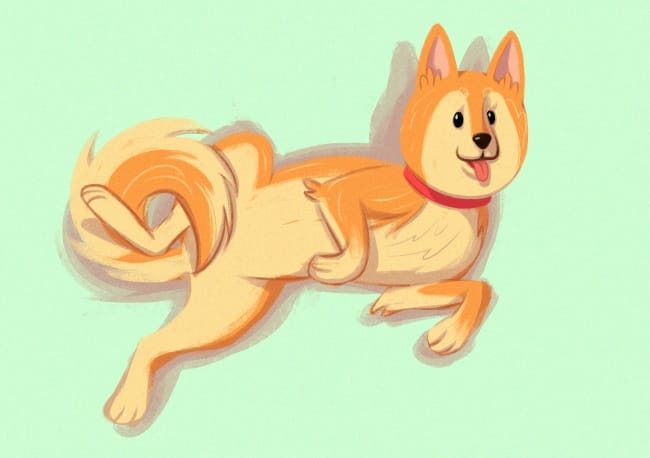 dog_body_language_13