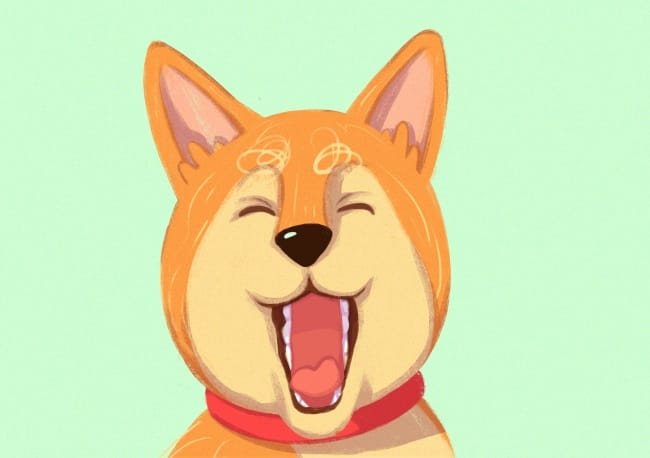 dog_body_language_16