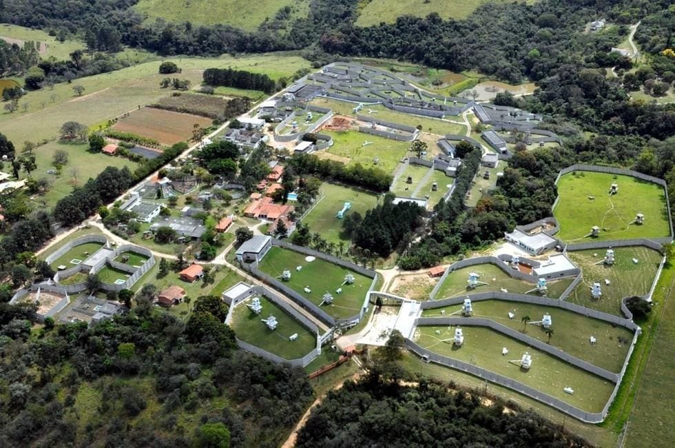 cecilia_ape_zoo_freedom3