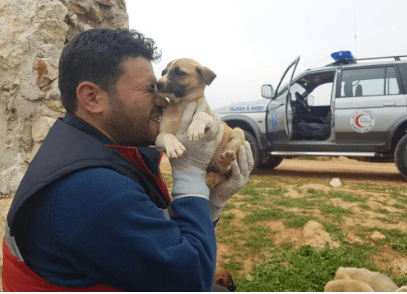 aleppo-catman-puppies-3