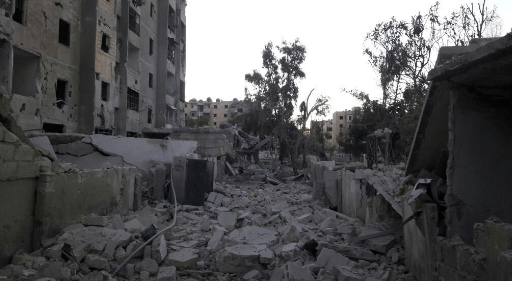 aleppo-catman-puppies-10