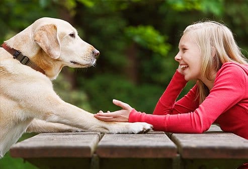 lifestyle-talking-to-pets-1