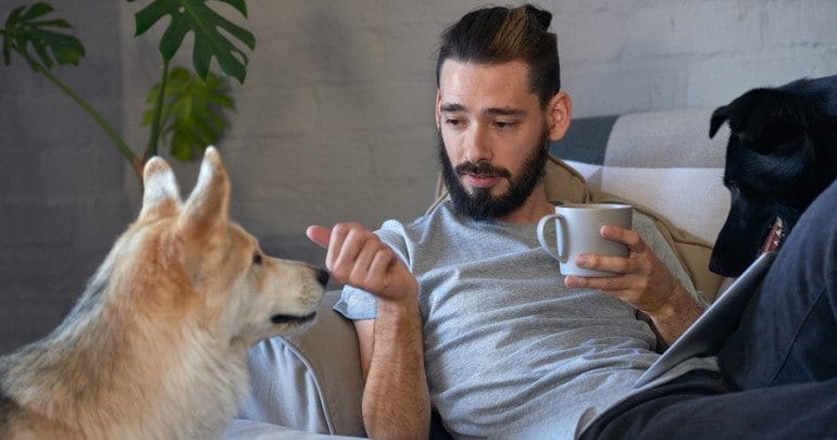 Pet owner talking to his pet dog on the couch sofa, loving affectionate bond