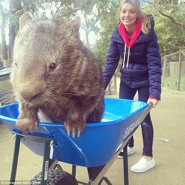 patrick-oldest-wombat-4