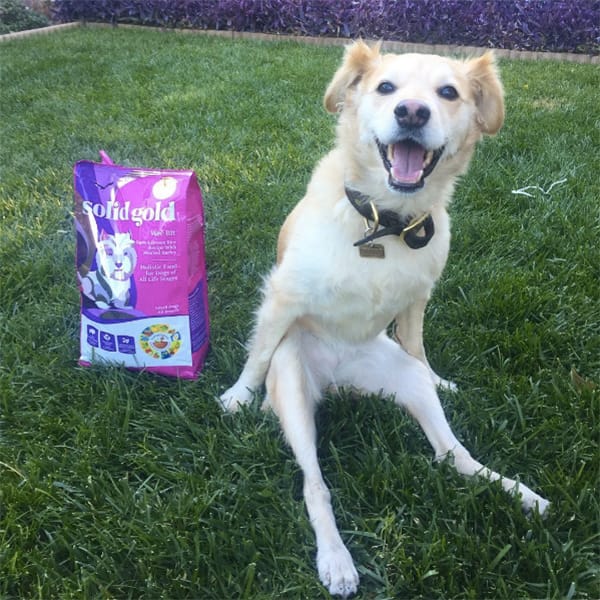 scooty-happiest-dog-1