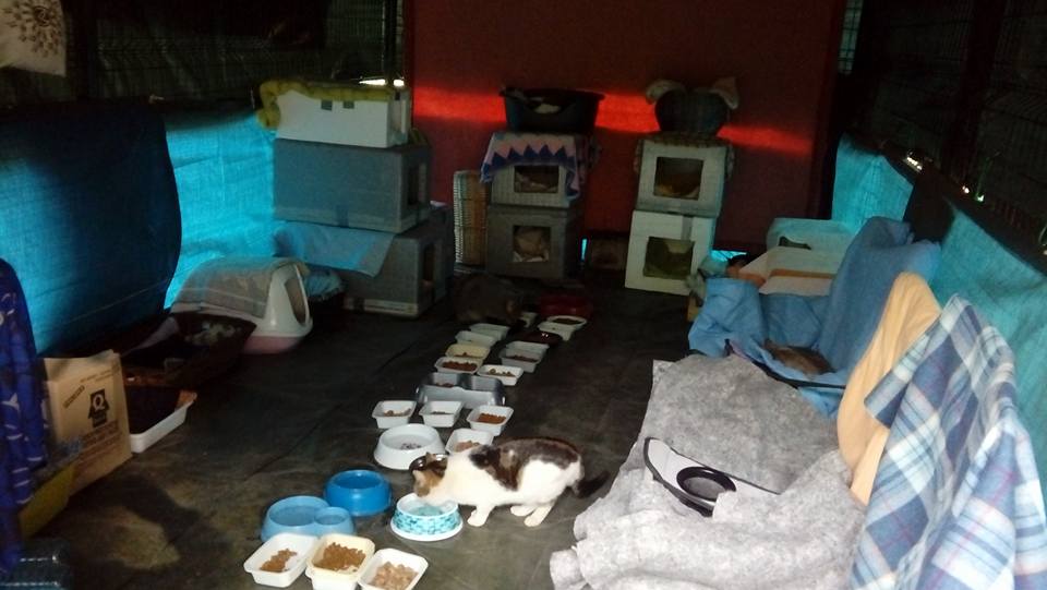 refuge-angers-brule-7