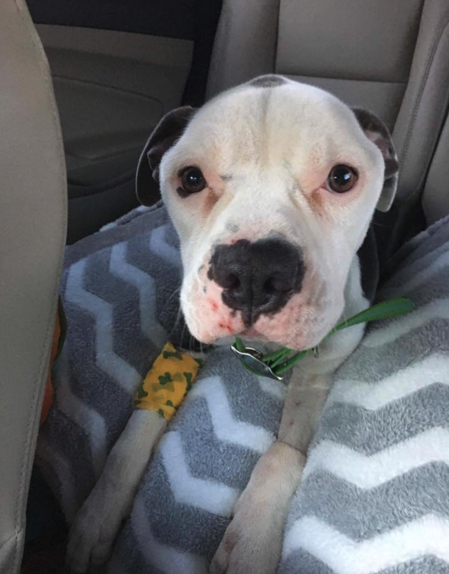 boden-locked-apartment-3