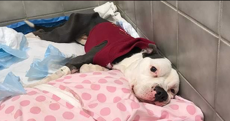 boden-locked-apartment-1