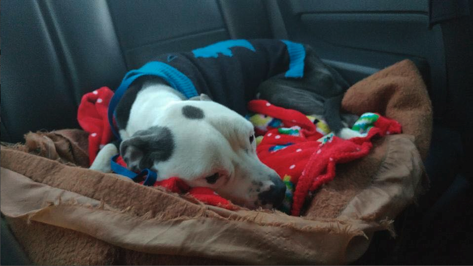 boden-locked-apartment-2