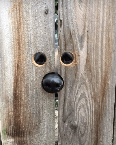 Screen Shot 2017-04-27 at 12.25.04