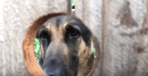 Screen Shot 2017-04-27 at 12.41.55