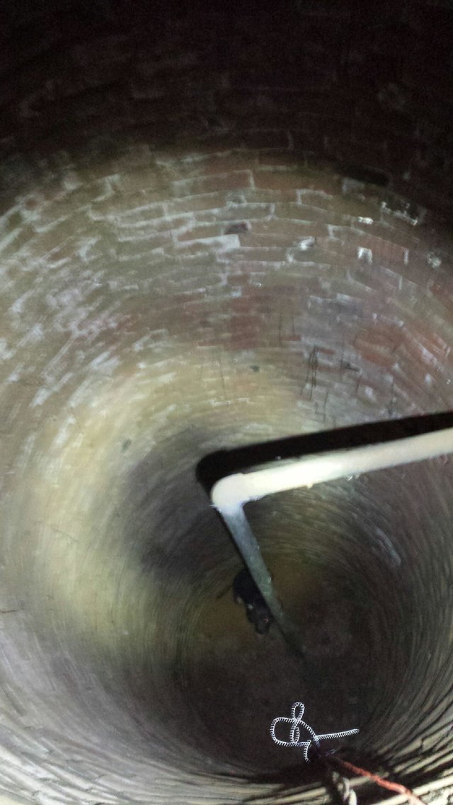 leela-chienne-puits-sauvetage-1