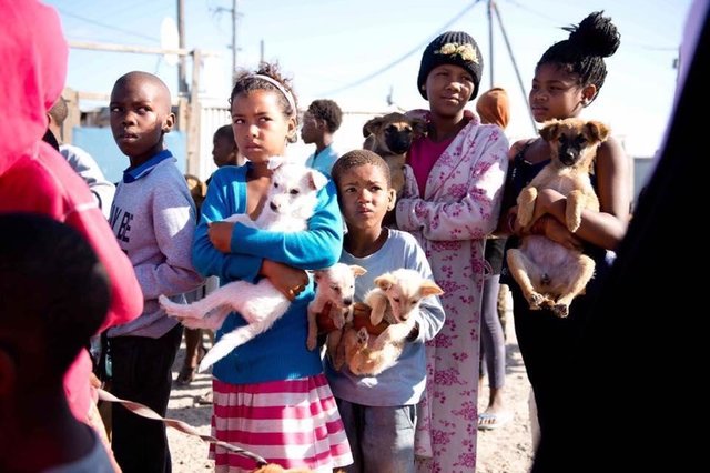 nanuk-chienne-sauvetage-afrique-du-sud-2