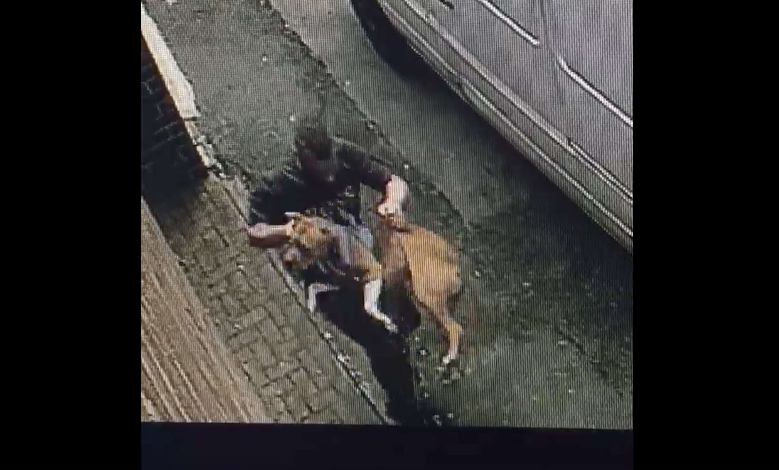 pitbull-frapper-manchester-video-4