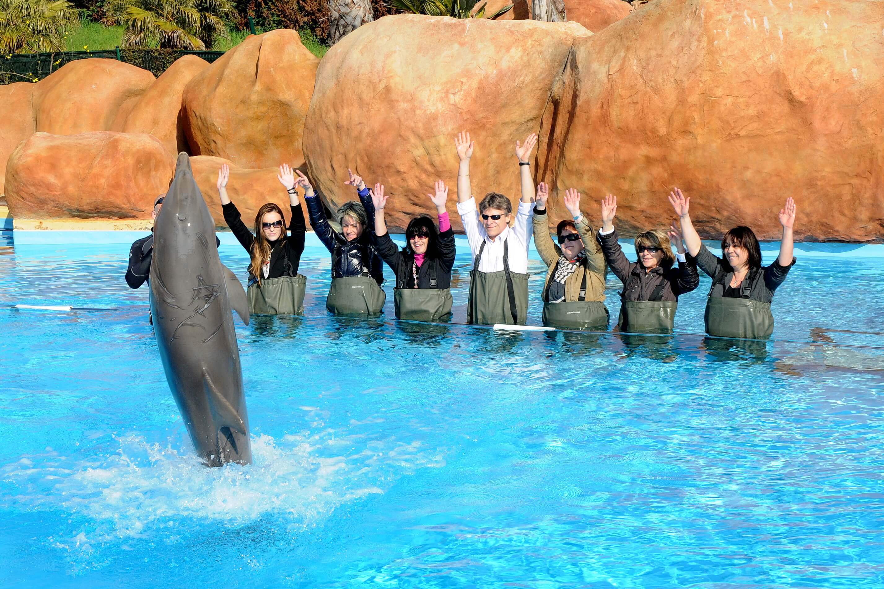 royal-delphinarium-2