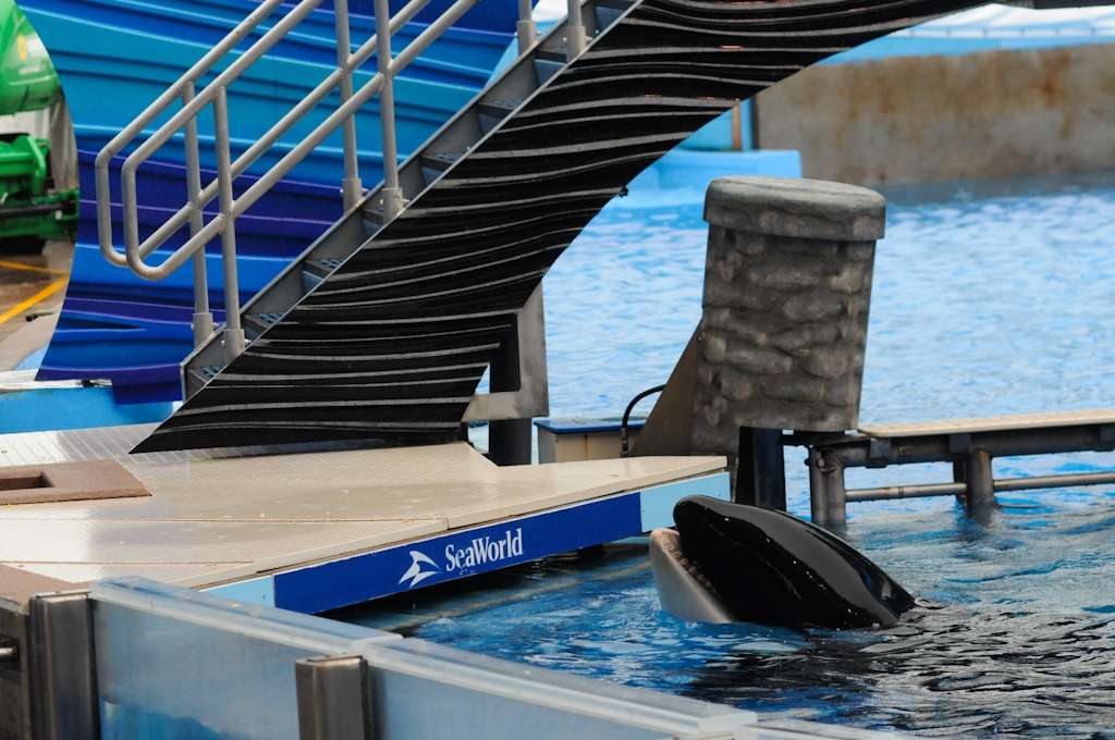 SeaWorld2011-HolidogTimes