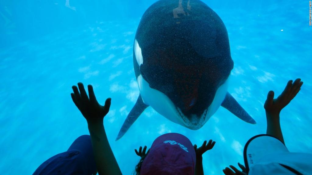 seaworld-peta-spy-1