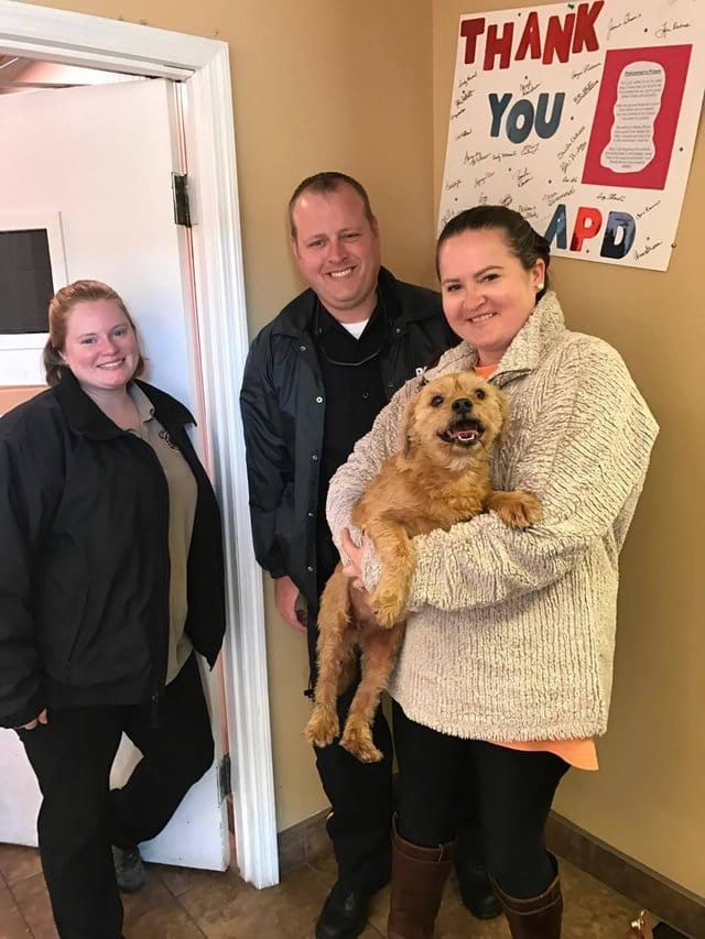 dog_ness_accident_missing_1