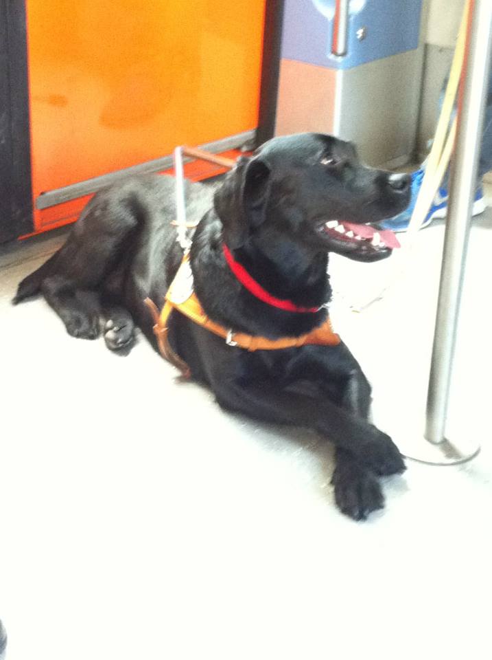 diamond_greece_poison_5