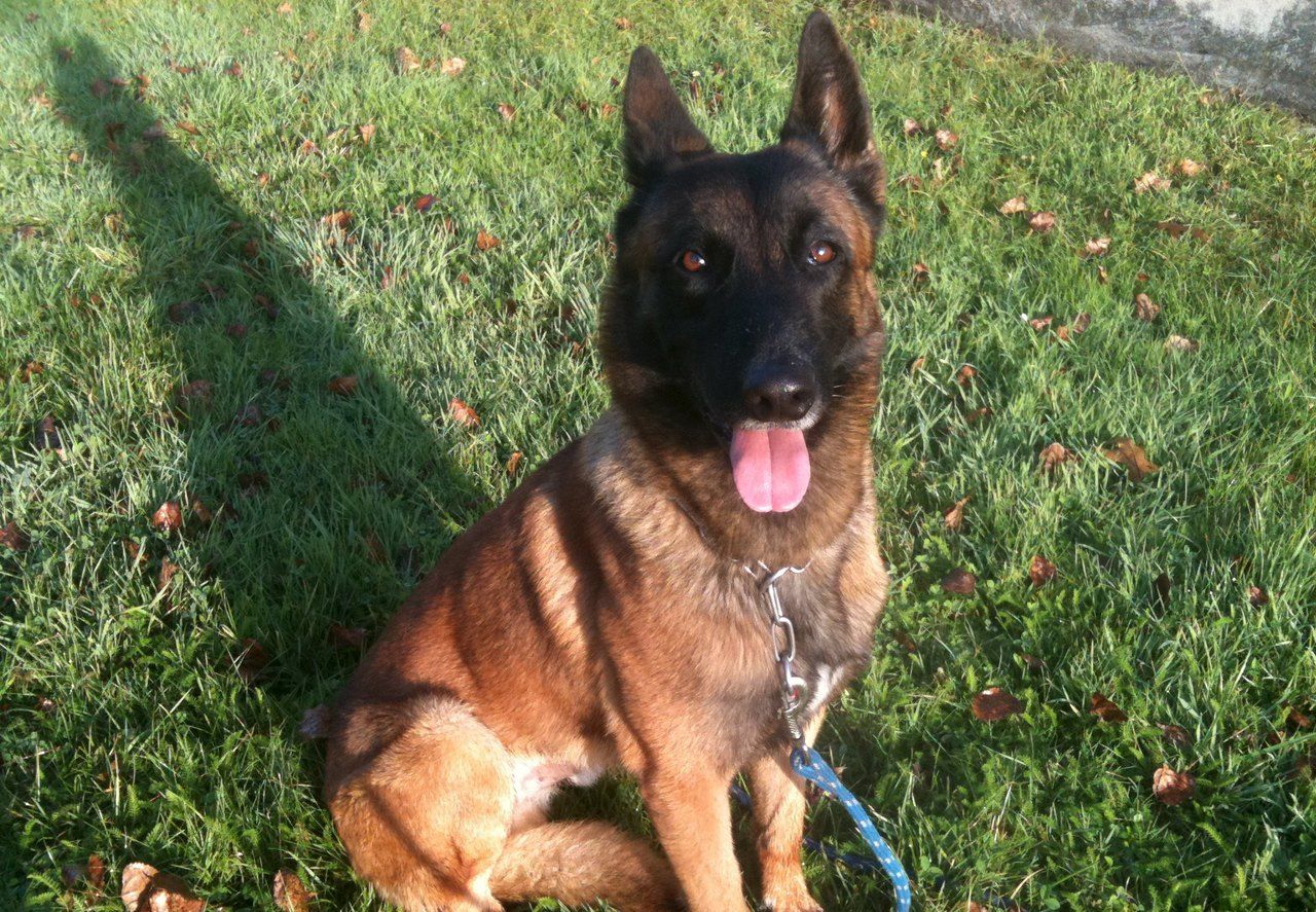 diesel-cagnotte-statue-1