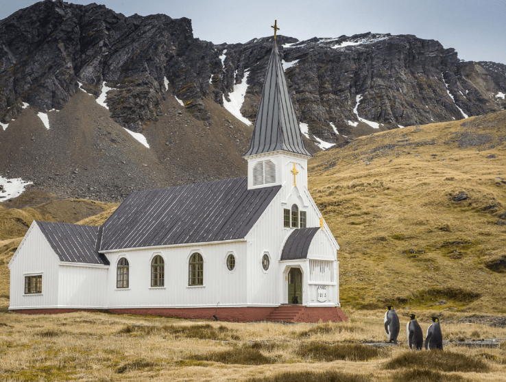 comedy wildlife photography awards