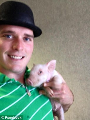 teacup pigs don't exist