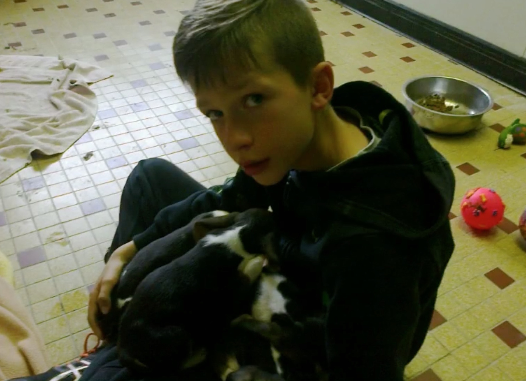 sauvetage-chiots-noyade-charente-5