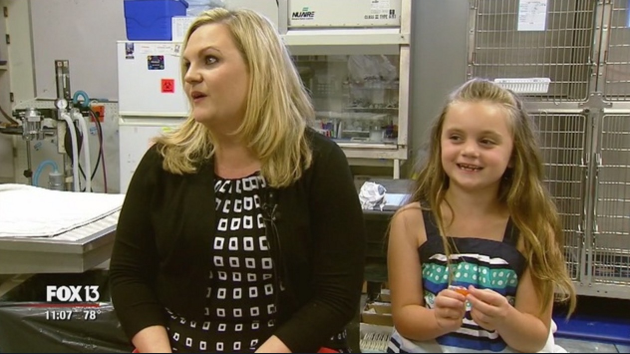 berger-allemand-morsure-serpent-8