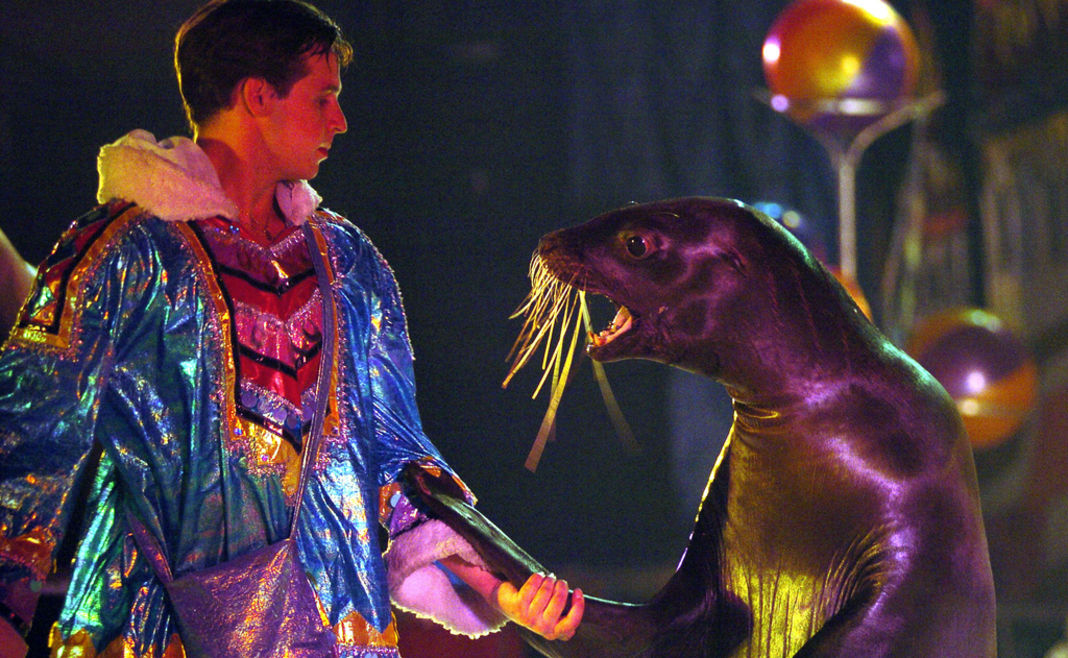 animaux-cirque-petition-patrimoine-culturel-3