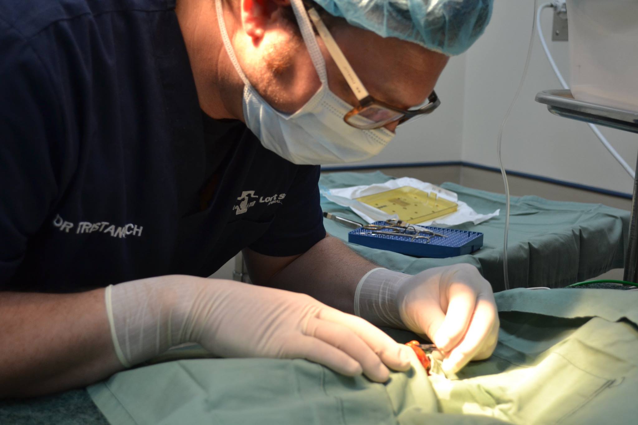 poisson-rouge-operation-16