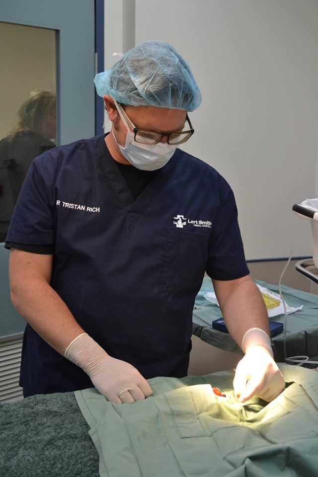 poisson-rouge-operation-13